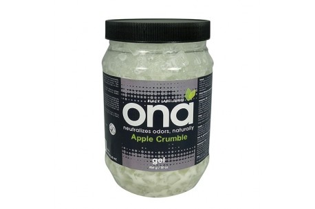 ONA GEL 856 GR. APPLE CRUMBLE * SISTEMAS ANTIOLOR