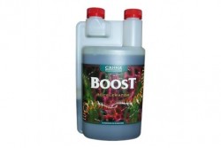 CANNABOOST ACCELERATOR 1 L.  * CANNA