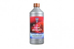 HESI - HESI BOOST 1 L * HESI