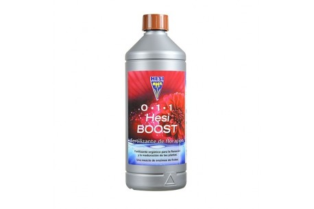 HESI - HESI BOOST 1 L * HESI