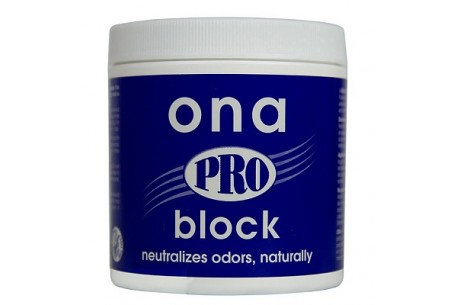 ONA BLOCK 170 GR PRO * SISTEMAS ANTIOLOR