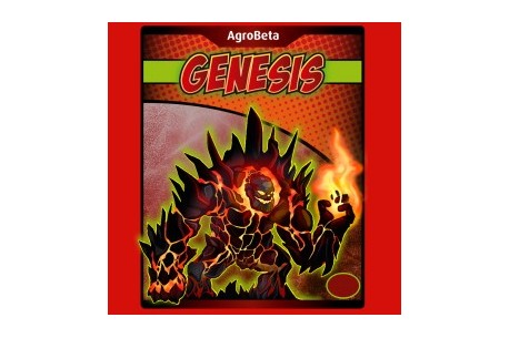 GENESIS  80 ML