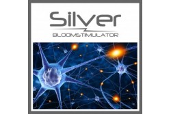 SILVER BLOOMSTIMULATOR 6500ML