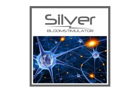 SILVER BLOOMSTIMULATOR 6500ML