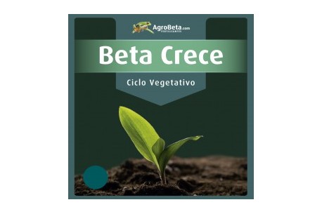 BETA VEGA AGROBETA 1 LITRO