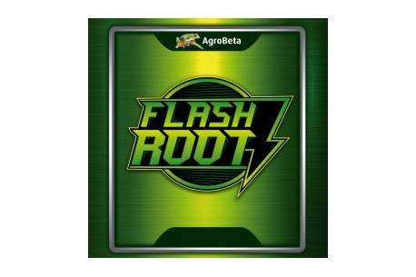 FLASH ROOT AGROBETA 130 ML