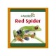 RED SPIDER AGROBETA 50 ML