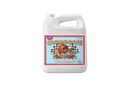 OVERDRIVE 500ML