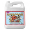 OVERDRIVE 500ML