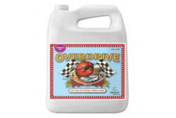 OVERDRIVE 5L ADVANCES NUTRIENTS