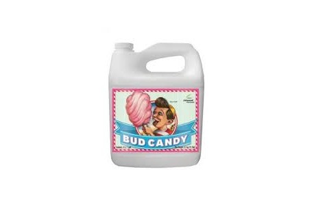 BUD CANDY 500ML