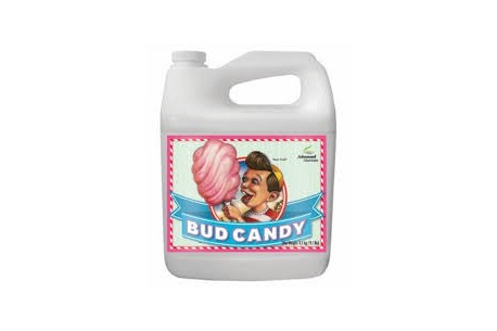 BUD CANDY 500ML