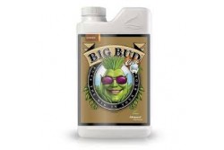 BIG BUD 1L COCO ADVANCES NUTRIENTS