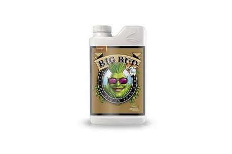 BIG BUD 500ML