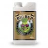 BIG BUD 500ML