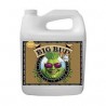 BIG BUD 500ML