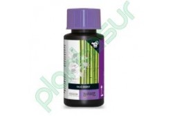 B'CUZZ SILIC BOOST 100 ML