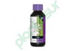 B'CUZZ SILIC BOOST 100 ML