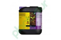 B'CUZZ SOIL NUTRITION A 10 L