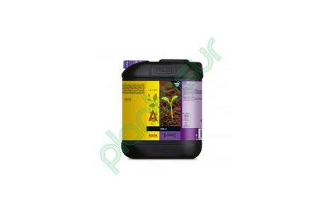 B'CUZZ SOIL NUTRITION A 10 L