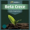 BETA VEGA AGROBETA 5 LITROS