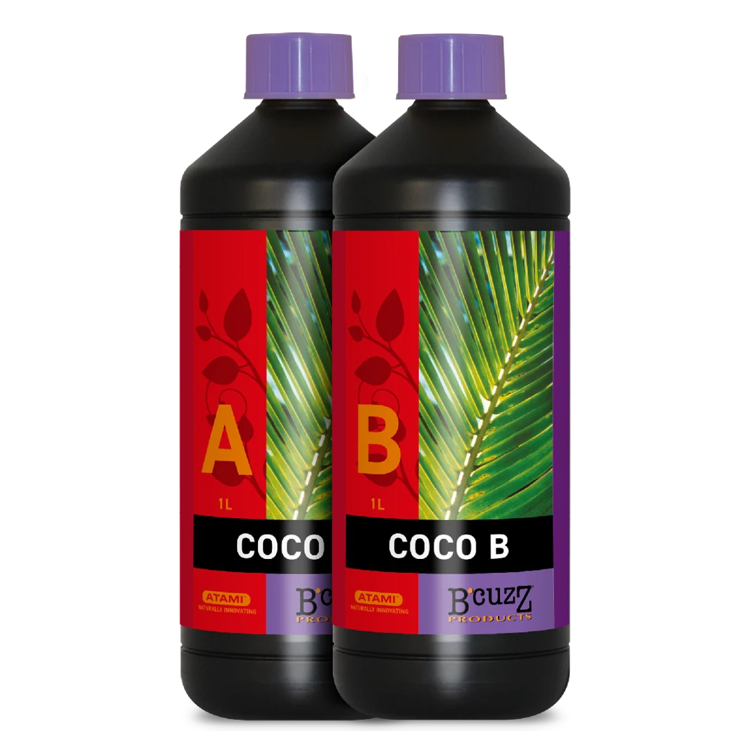 Atami coco, imagen del fabricante