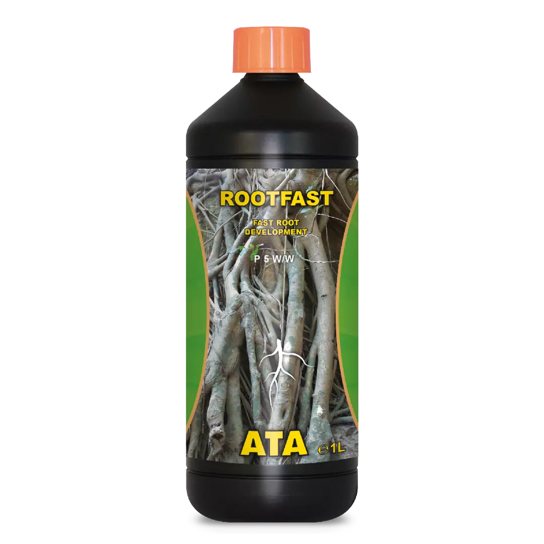 Atami root, imagen del fabricante