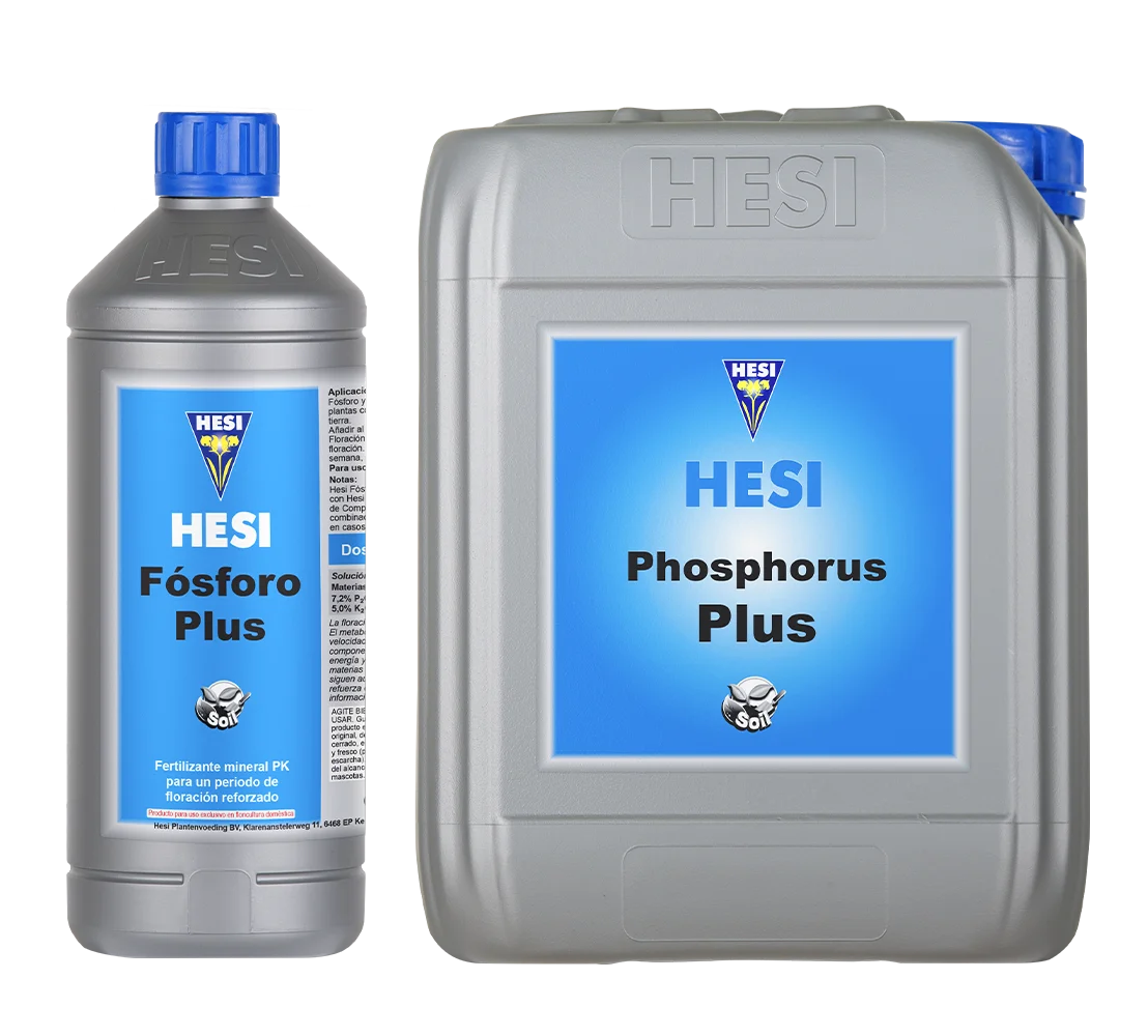 Gama oficial HESI Fósforo Plus