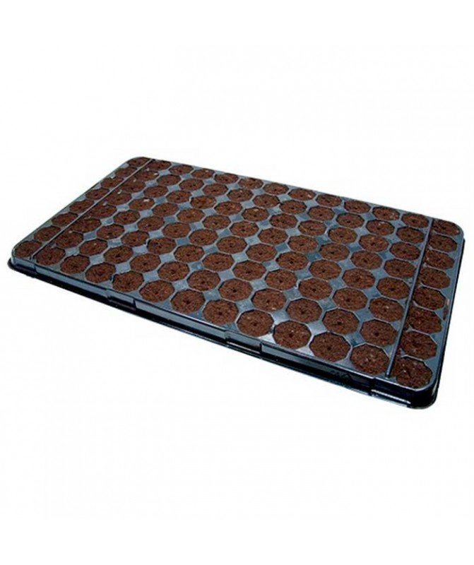 The King Germinator, referencia de 104 alvéolos