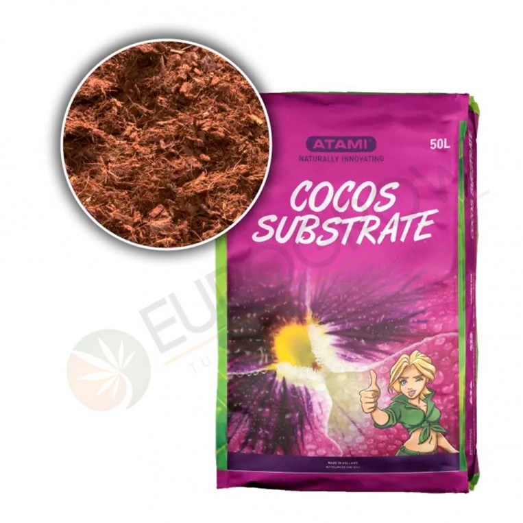 Atami B’cuzz Coco